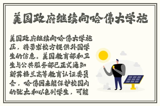 国产三级精品91三级在专区